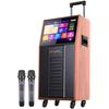Портативная KTV колонка SANSUI PC105 с дисплеем, штекер CN (адаптер в комплекте)
