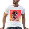 - Stevie Wonder - T-Shirt t shirts for man pack cotton t shirt man casual essential t shirt T-s