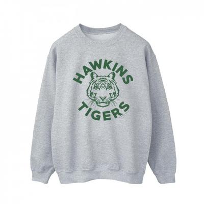 Мужская толстовка Netflix Stranger Things Hawkins Tigers