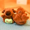 Hoodie Plush Toy Capybara Plush Pendant Cute Anime Fluffty Toy  for Child Gift
