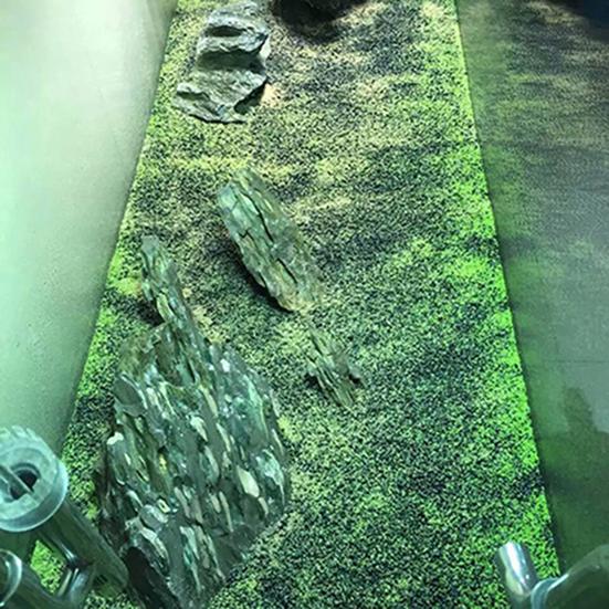 Богатый питательными веществами субстрат для аквариумных растений для пресноводных аквариумов