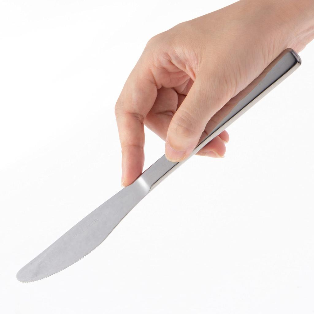 Nagao Slim Dinner Knife Set knives 1 extra Stainless Made in Japan (5 + knife), 21cm, Steel,