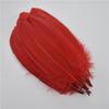 20Pcs Colorful Hard Stick Goose Feather 6-8inch/15-20cm Natural Swan Crafts Plumes  Table Centerpieces Feathers for Decoration