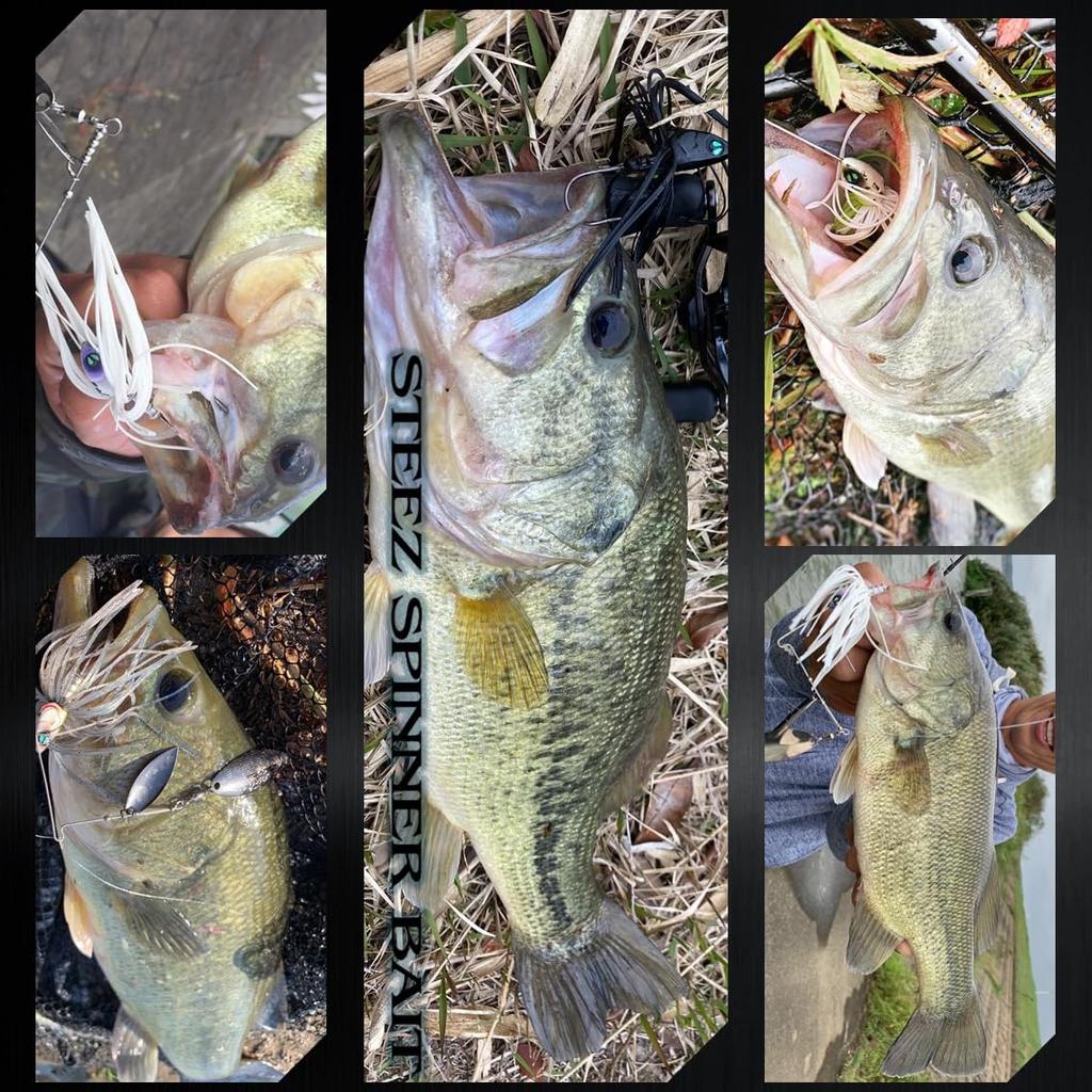 Daiwa Спиннербейт Баззбейт Steez Спиннербейт DW Синий Шед 1/2 унции