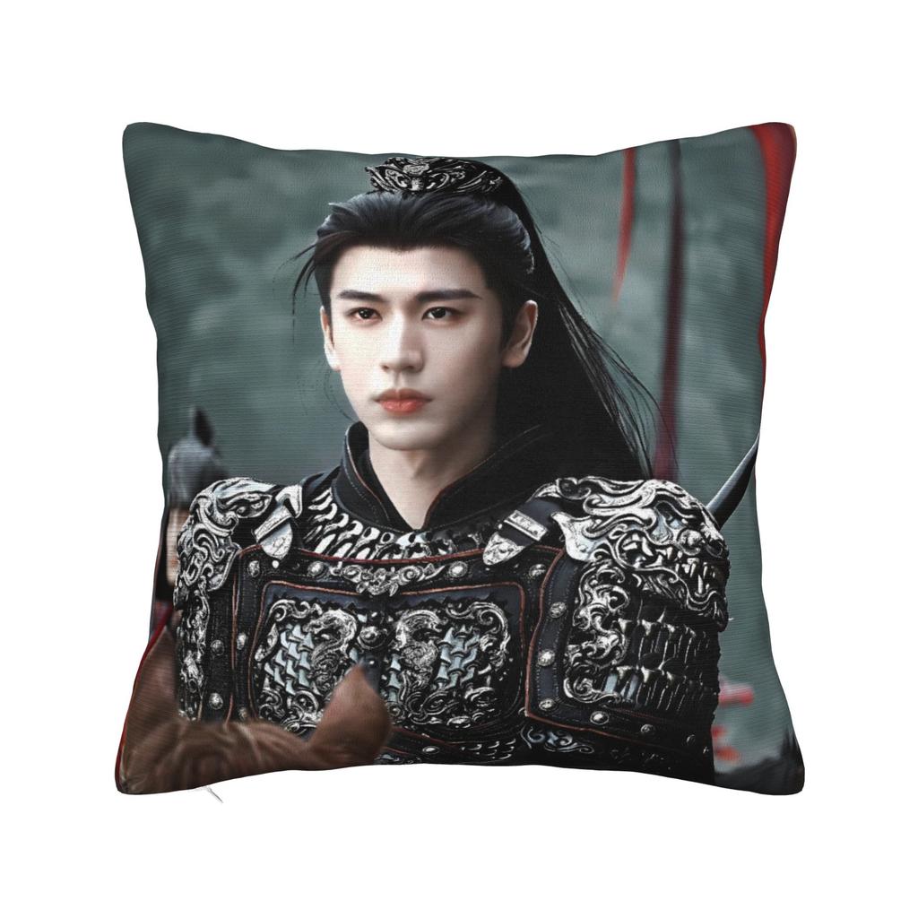 Zhang Linghe Pillowcases Kawaii Pillow Case For Living Room Sofa Custom Pillow Cover