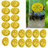 10/20Pcs Wasp Trap Tool for Indoor & Outdoor Hanging Effective Hornet Insect Trap Catcher for Garden Courtyard Patios