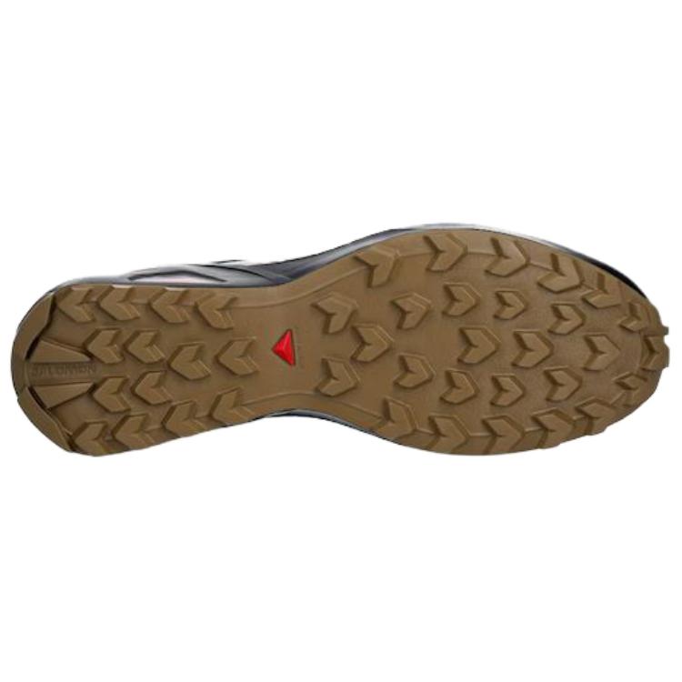 SALOMON Кроссовки для трейлраннинга Speedcross Peak Мужские Синие 491442