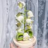 Лампа Ночник Ландыш для Домашнего Декора Настольная