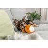 Jouet peluche pour chien ecureuil rond Trixie (x2)