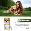 Pet Hair Memorial Keychain Pet Hair Preservation Bottle Transparent Synthetic Resin Engraved Pet Memory Jar