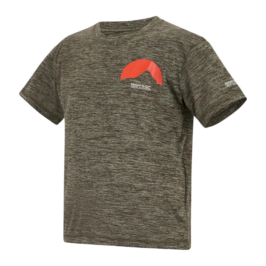 Regatta Childrens/Kids Alvarado Back Print T-Shirt