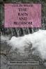 The The Rain and Blossom (Rabbit Brook Tales Volume 2) Book
