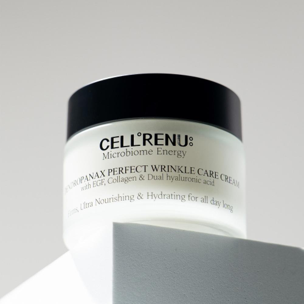 Hwangchilga Celine New Dendropanax Perfect Wrinkle Care Cream