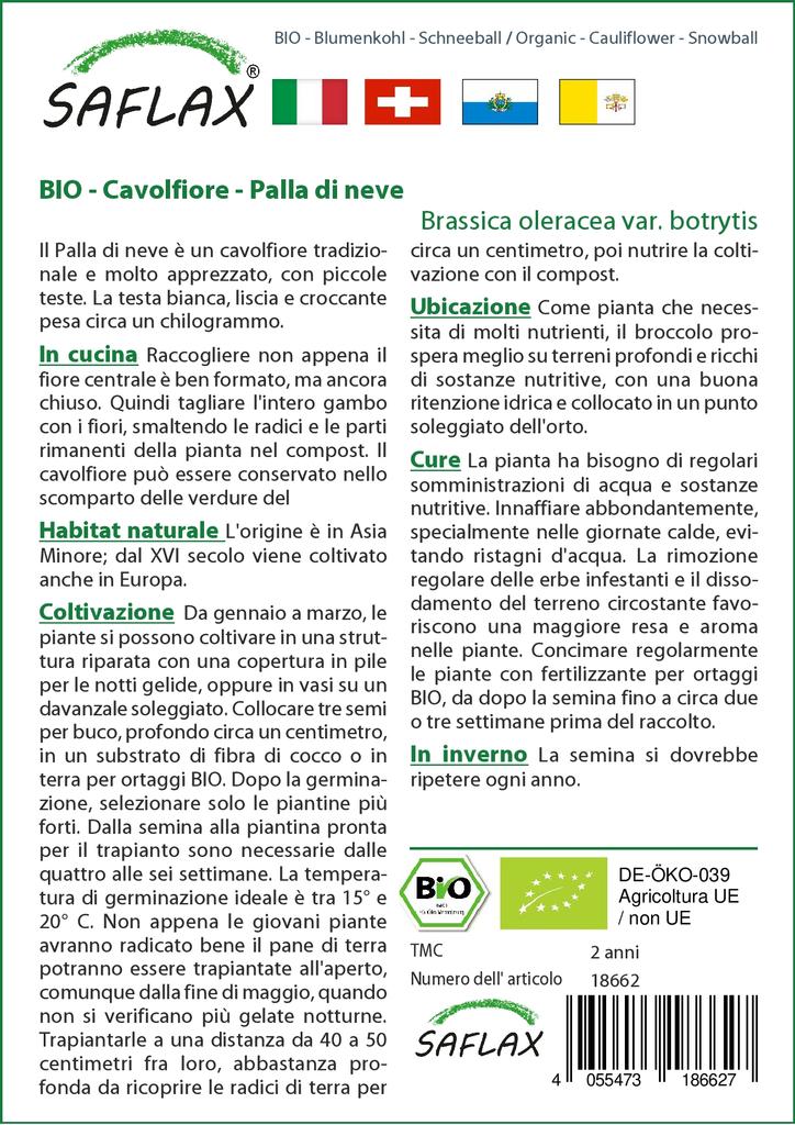 SAFLAX Organic - Цветная капуста - Снежок - 70 семян - Brassica oleracea