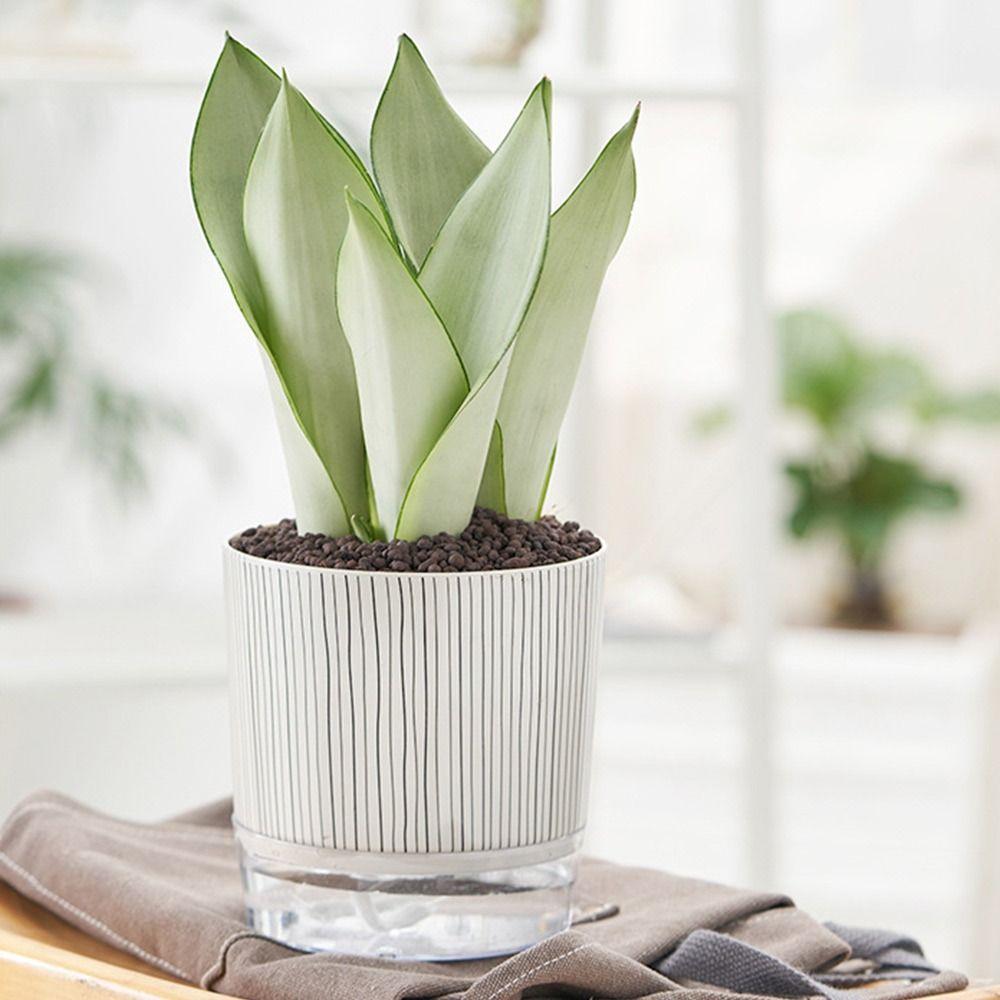 Transparent Self-watering Plants Pot Green Plants Lazy Flower Pot Garden Supplies