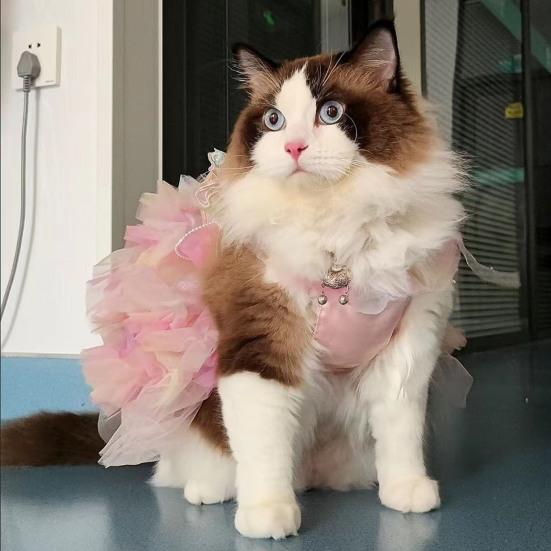 Платье Принцессы для Собаки Тонкое Кошка Радужная Юбка с Бабочками Летнее Платье-пачка с Кружевом для Маленьких и Средних Собак Кошек