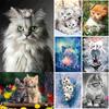 DIY 5D алмазная живопись кошка домашнее животное Алмазная мозаика наборы крестиков украшение дома полная круглая алмазная вышивка