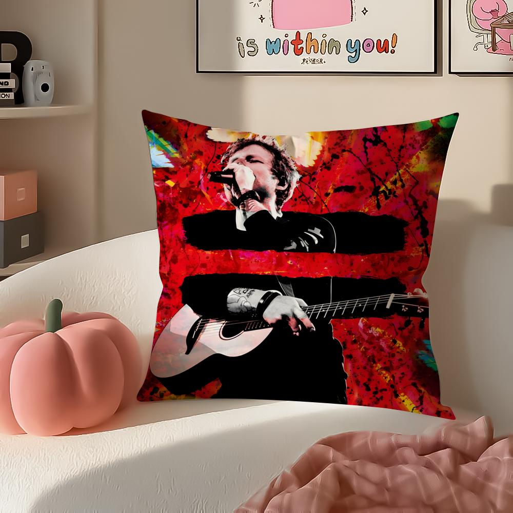 Melodic Pop British Singer EEd Sheeran Cushion Cover Pillowcase Short Plush Invisible zipper Room Sofa Cushion Cover
