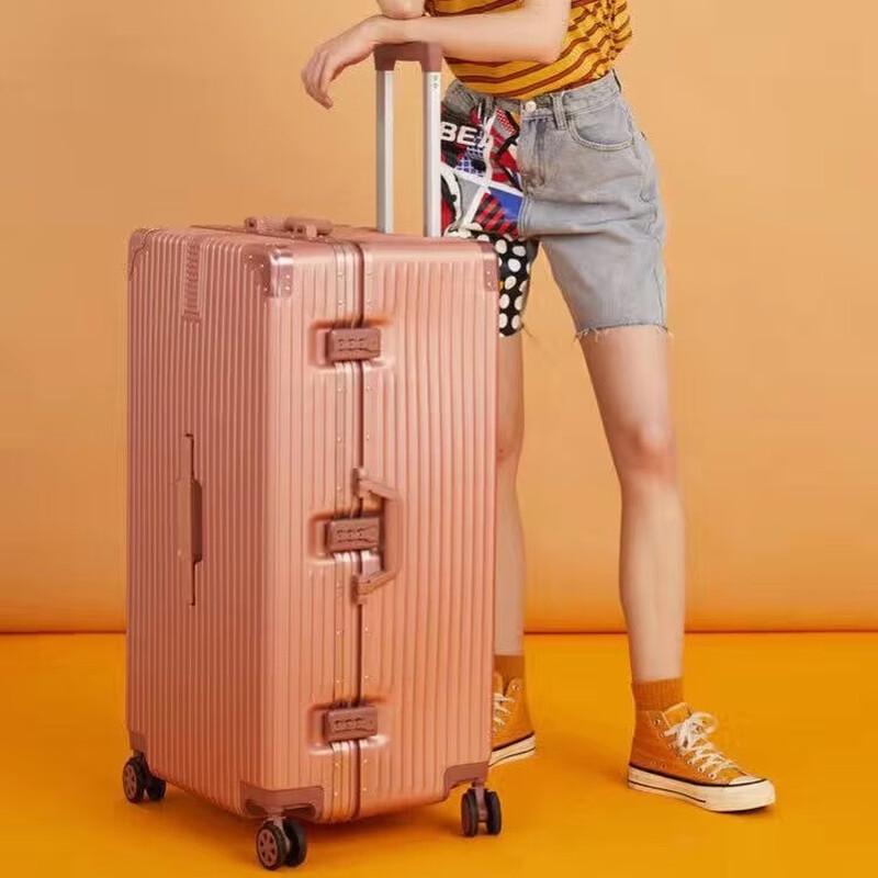 Zhilyu 867 Aluminum Frame Spinner Luggage