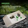 Smooth Tortoise Feeder With Platform Turtle Tank Tortoise Feeding Dish  Hamster