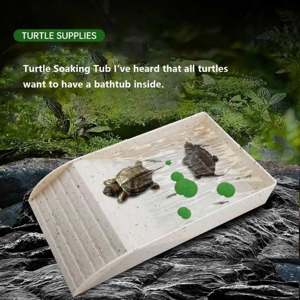Smooth Tortoise Feeder With Platform Turtle Tank Tortoise Feeding Dish  Hamster