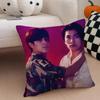 Thai TV drama BBad Buddy Series Cushion Cover Throw Pillow Cover Hidden Button Durable Polyester Chair Cushion