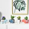 Cute Elephant Flower Pot Ceramic Succulent Pot Planter Home Decor Indoor Decoration Desktop Ornaments Bonsai Plant Pot
