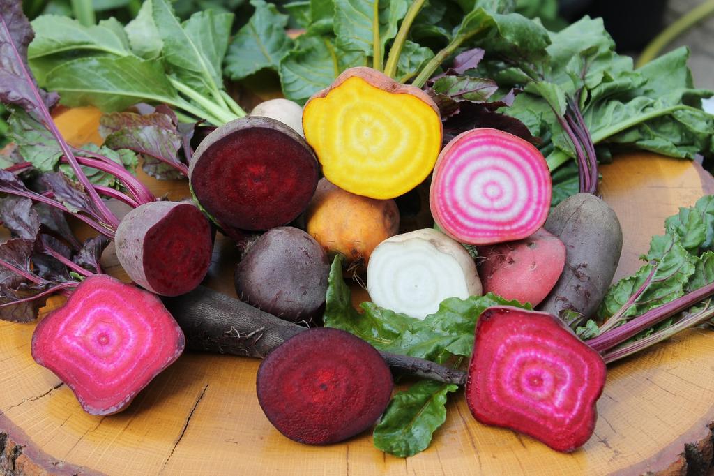 SAFLAX Сад в пакете - Органический - Свекла - Кьоджа - 70 семян - С субстратом в подходящем стоячем пакете - Beta vulgaris