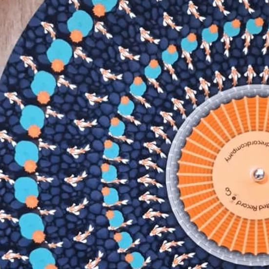 2Pcs Zoetrope Slipmat 12 Inch Animated Optical Illusion Turntable Mat Visual Art Meets Vinyl Culture Non-Slip Felt Record Player Pad for Vinyl