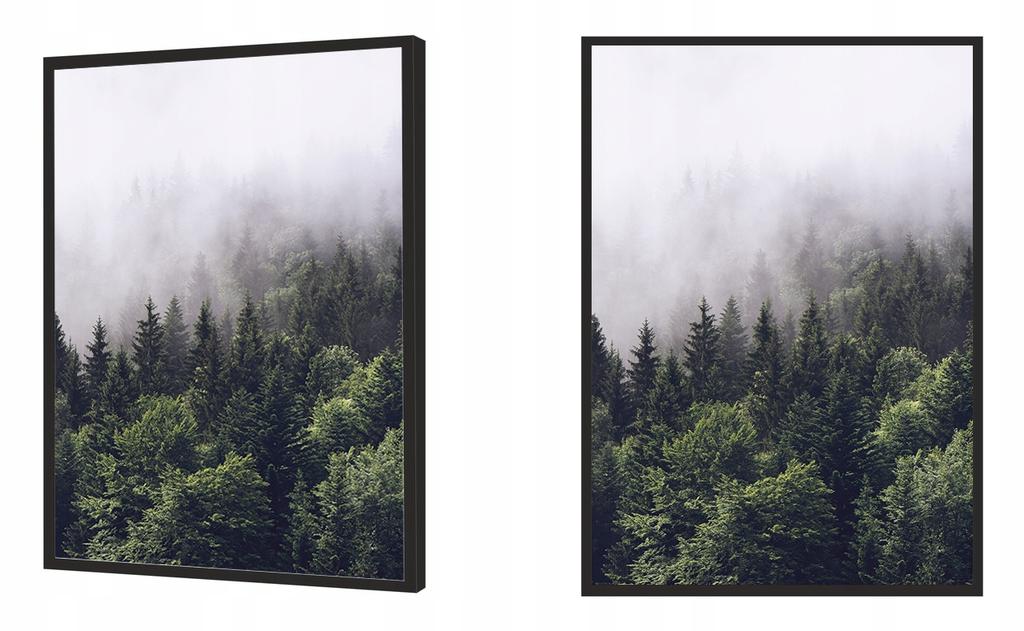 Picture poster In a frame 43x33 cm Forest P612 Pion