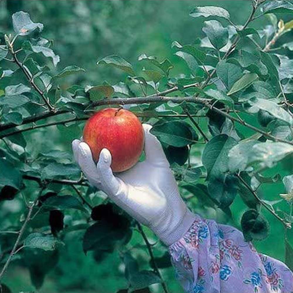 Showaglove Work Gloves Tight Unlined of No. 260, Fit, Back, Large, Blue, 3-Pack (Set 2)