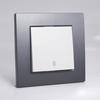 Plaque de finition simple - NOVELLA - Fumé - Plastique - 1 poste - Intérieur