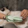 Pet Hair Comb With Soft Silicone Head, Spray Petting Gloves, Double Sided -Static Pet Hair Remover For Cats And Dogs