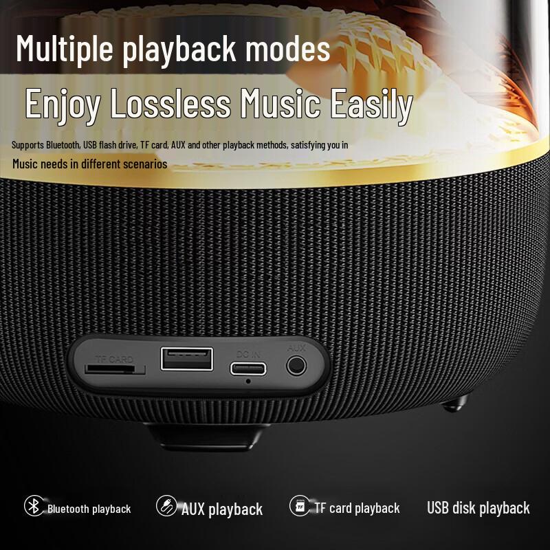 Newmine MC77 KTV Bluetooth Speaker CN plug (adapter included) (CN version)