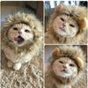 Милый парик для кошки с львиной гривой, шляпа для собак и кошек, маленькая собака, домашний декор для кошек, аксессуары, парик льва, необычная шапка для волос, товары для домашних животных