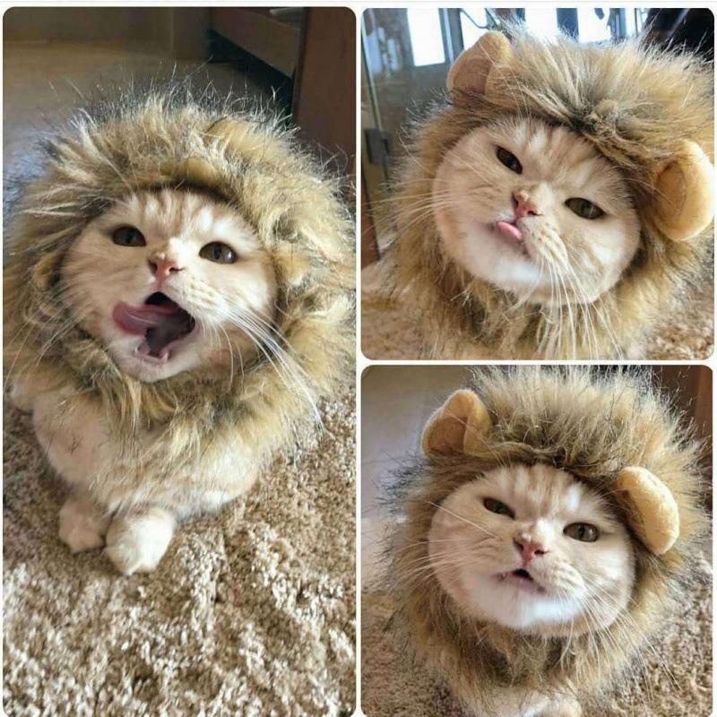 Милый парик для кошки с львиной гривой, шляпа для собак и кошек, маленькая собака, домашний декор для кошек, аксессуары, парик льва, необычная шапка для волос, товары для домашних животных