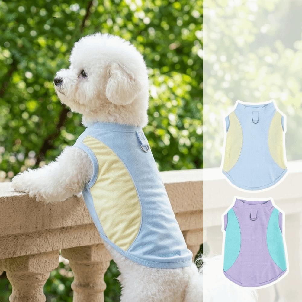 Breathable Mesh Dog Cooling Vest Comfortable Pet Summer Clothes Outdoor Walking