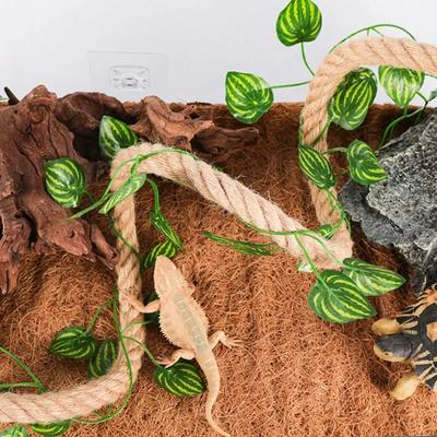 50x30см Натуральный коврик для ползания питомца Материал Бокс для разведения черепах Ландшафтный террариум с тропическим лесом Пейзаж Натуральный коврик из кокосовой пальмы