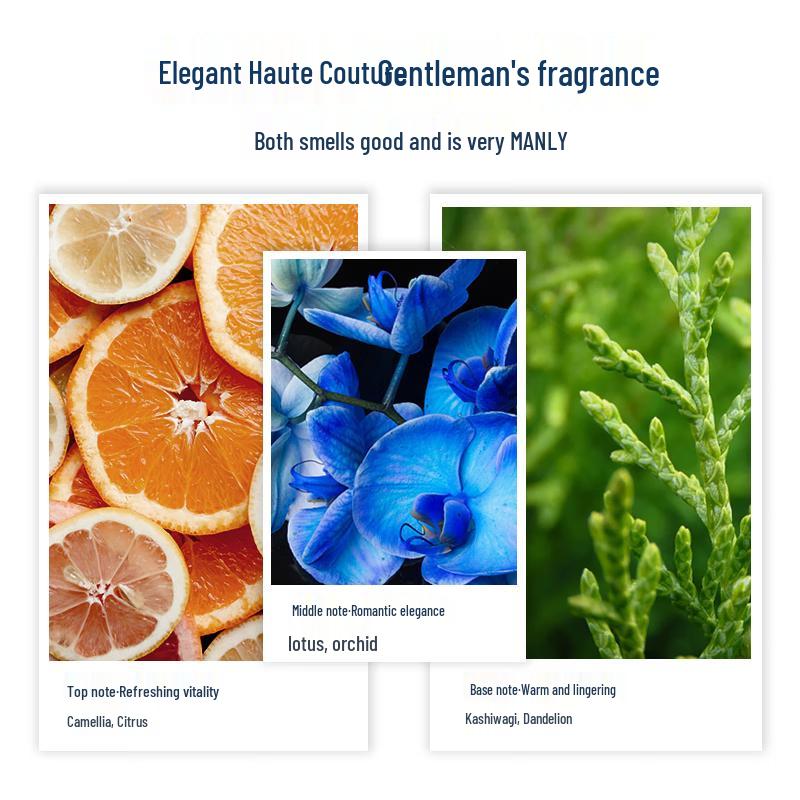 Adolph Men's Tea Tree Oil Oil Control Refreshing Shampoo