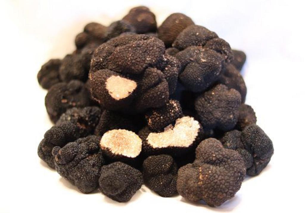 Summer White Truffle Mycelium - Mushroom Cultivation Kit - Grow Mushroom Spores