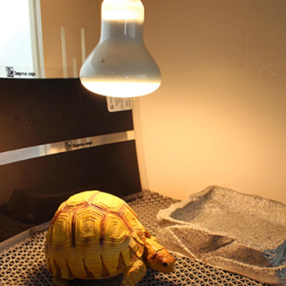 5-20 Вт Террариум Рептилии Тепловой Коврик Лазание Питомец Грелки Теплые Подушечки Регулируемый Контроллер Температуры Коврики Принадлежности Для Рептилий