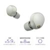 Sony Шумоподавляющие наушники WF-1000XM5: Модель MISIA CM/Полностью/Платиновое серебро WF-1000XM5 SC