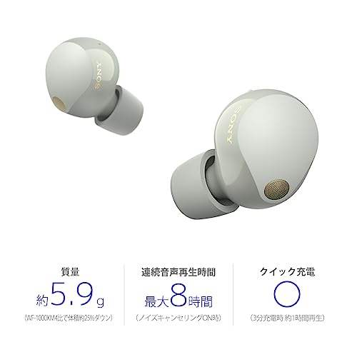 Sony Шумоподавляющие наушники WF-1000XM5: Модель MISIA CM/Полностью/Платиновое серебро WF-1000XM5 SC