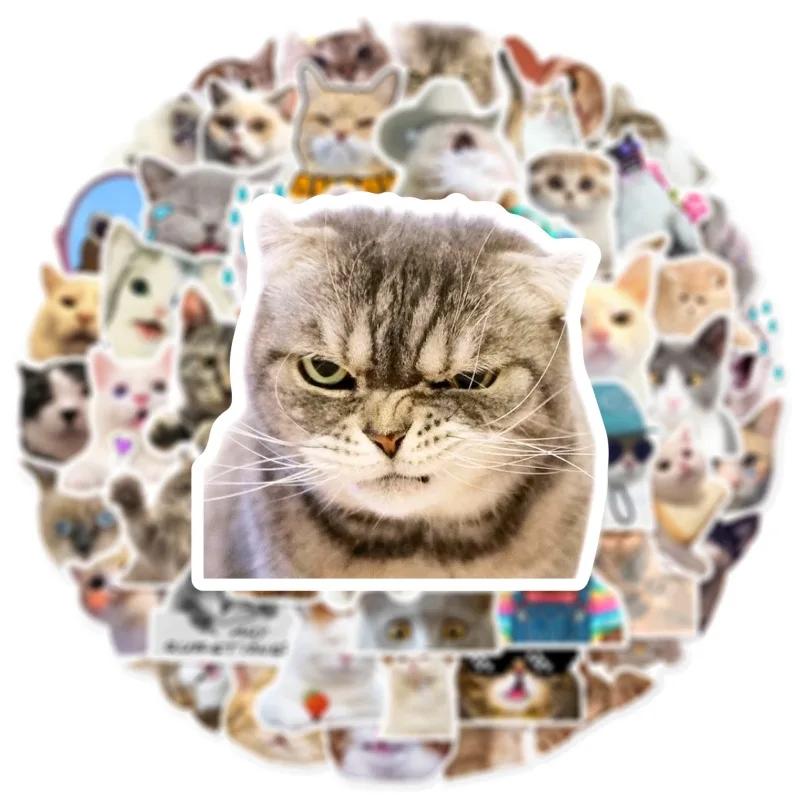 50 шт. Новые Милые Кошачьи Мемы Наклейки на Мотоциклетный Шлем Прекрасные Кошки Водонепроницаемая Наклейка на Задний Багажник Наклейка-Защита от Царапин на Кузов Мотоцикла