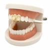 1/2pcs Gold Color Hollow Heart Tooth Grillz Rhinestone Dental Grills  Party Cosplay