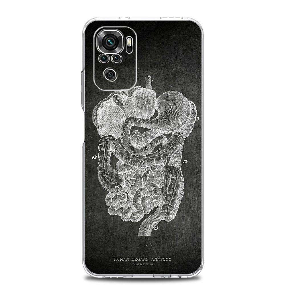 Чехол для телефона Chalkboard Anatomy для Xiaomi Redmi Note 13 12 5G 9S 9 8 10 11 Pro Plus 4G 9T 13C 12C10C 9C 9A 7 Прозрачная крышка