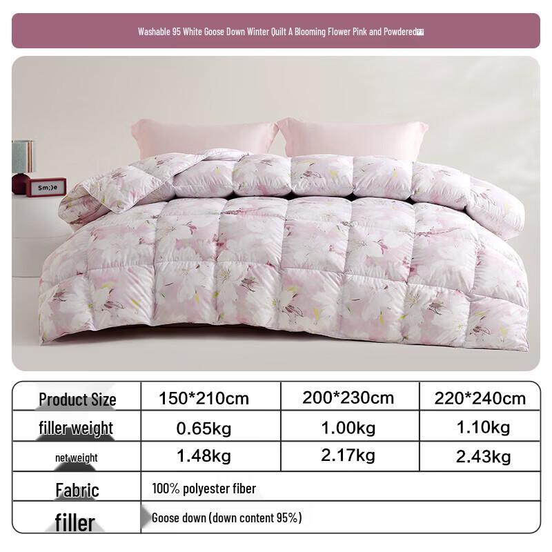 BEYOND Class A Antibacterial 95% White Goose Down Winter Comforter