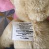 [USED] Teddy Bear Rabbit Kigurumi 20cm Material Co. Bear Plush Toy Kigurumi