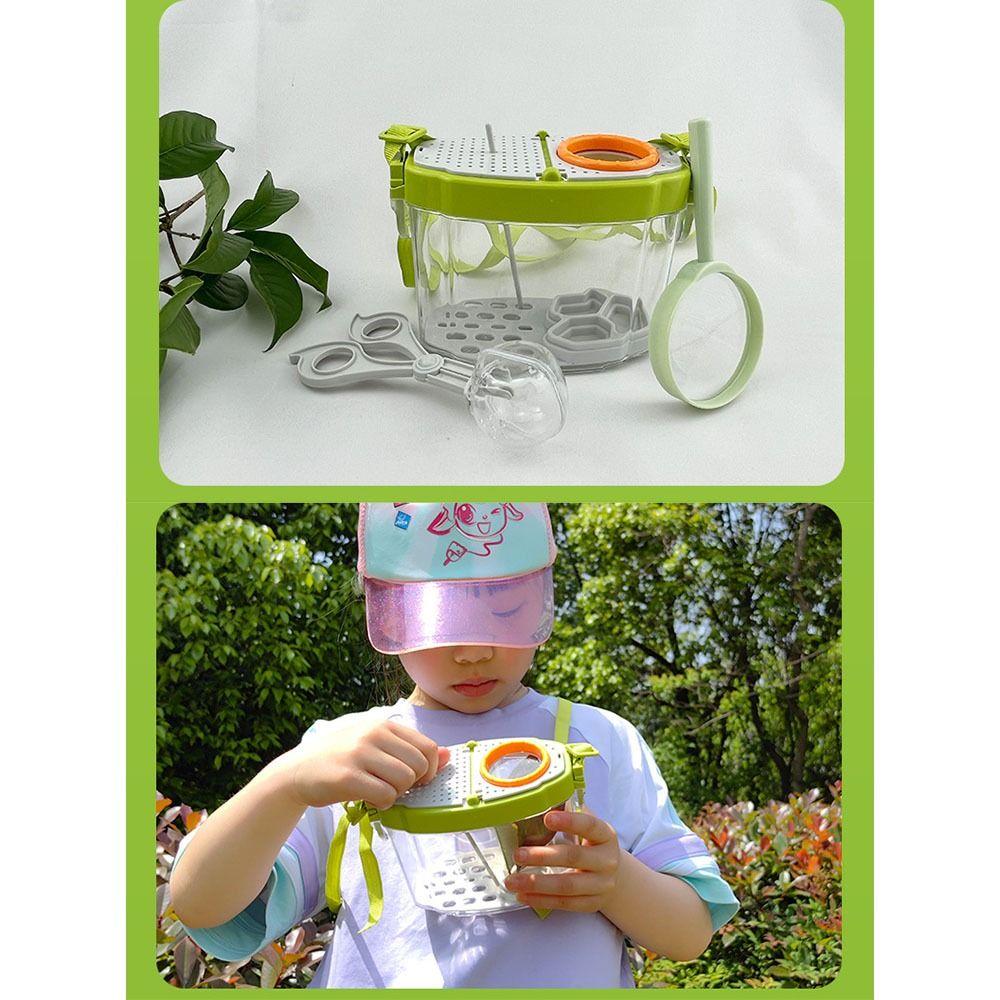 Breathable Insect Observation Box Kit Adjustable Straps Insect Feeding Bin  Snails