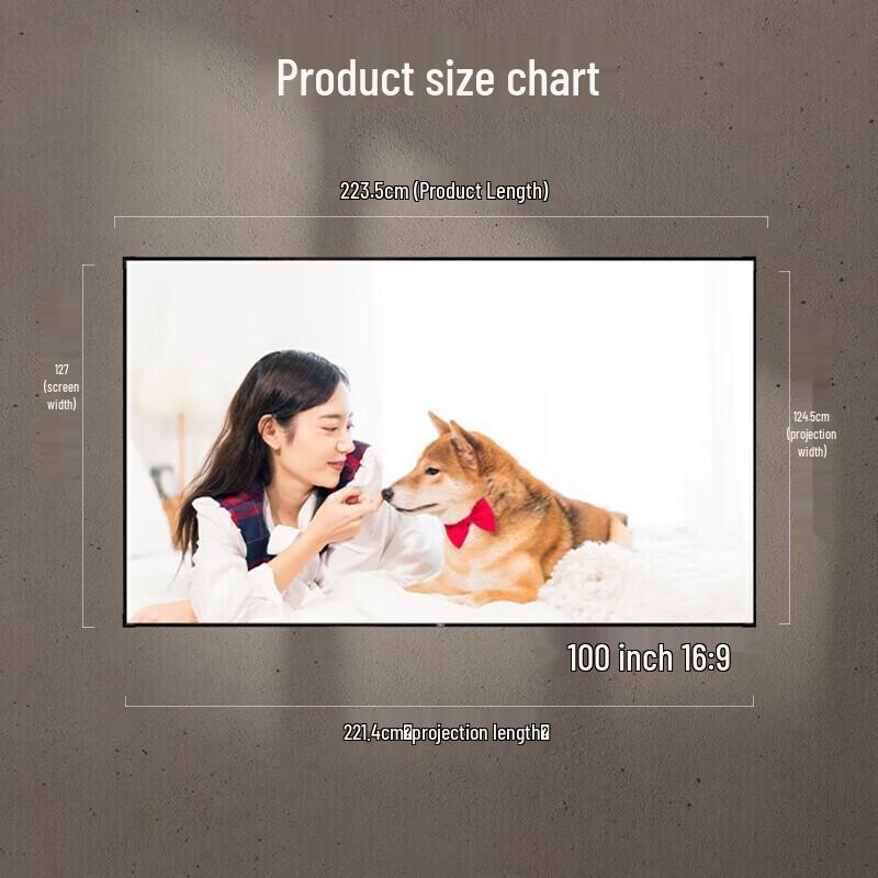 Deli 100-inch 16:9 Fixed Frame ALR Projector Screen